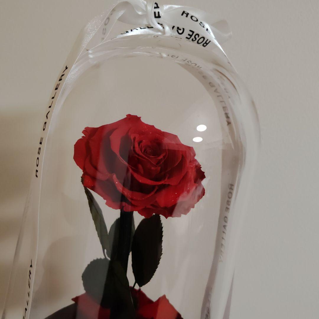 ローズギャラリー　ブリザードフラワー　バラ　薔薇