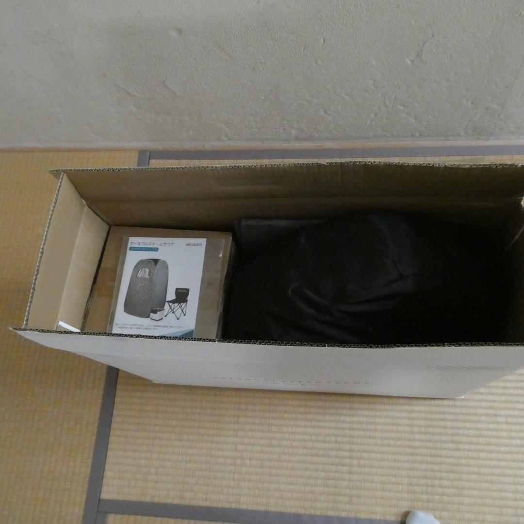 willowybe スチームサウナ AP-01