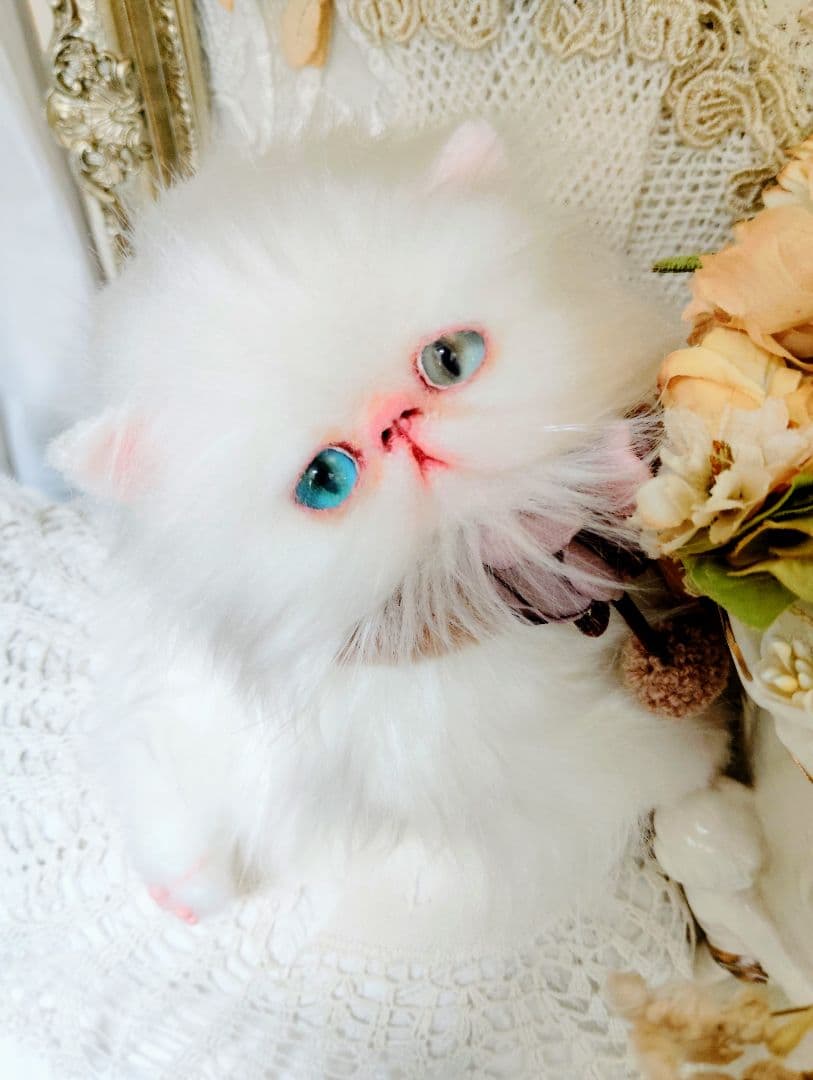 生後１か月♡オッドアイ♡エキゾチック子猫ちゃん♡アートドール♡ぬいぐるみ♡