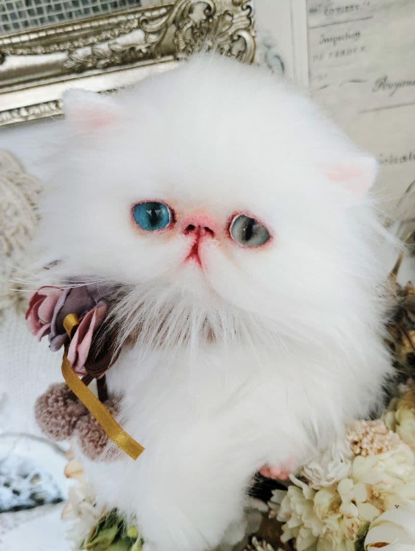 生後１か月♡オッドアイ♡エキゾチック子猫ちゃん♡アートドール♡ぬいぐるみ♡