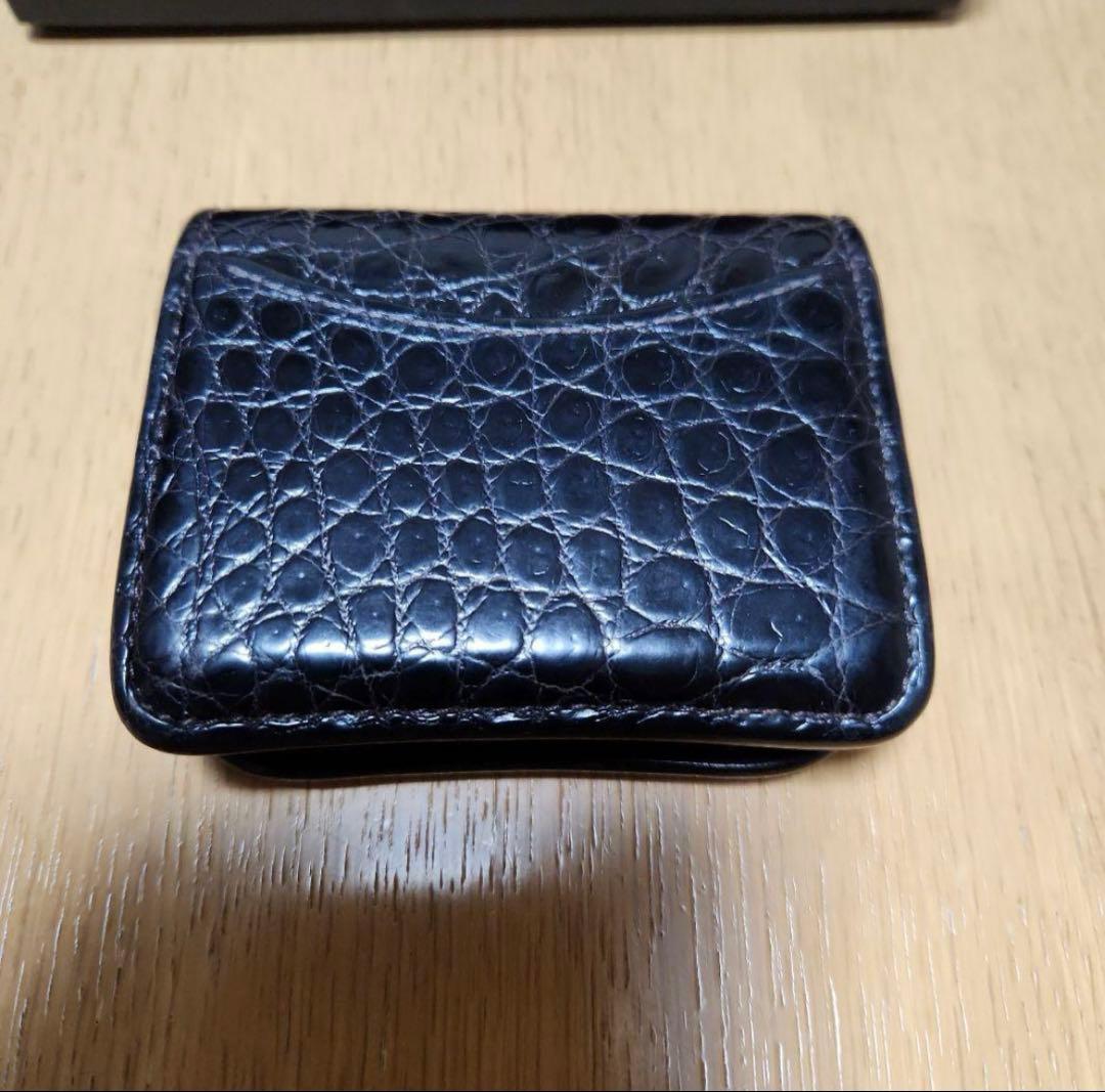 ワイルドスワンズ　クロコダイルパーム