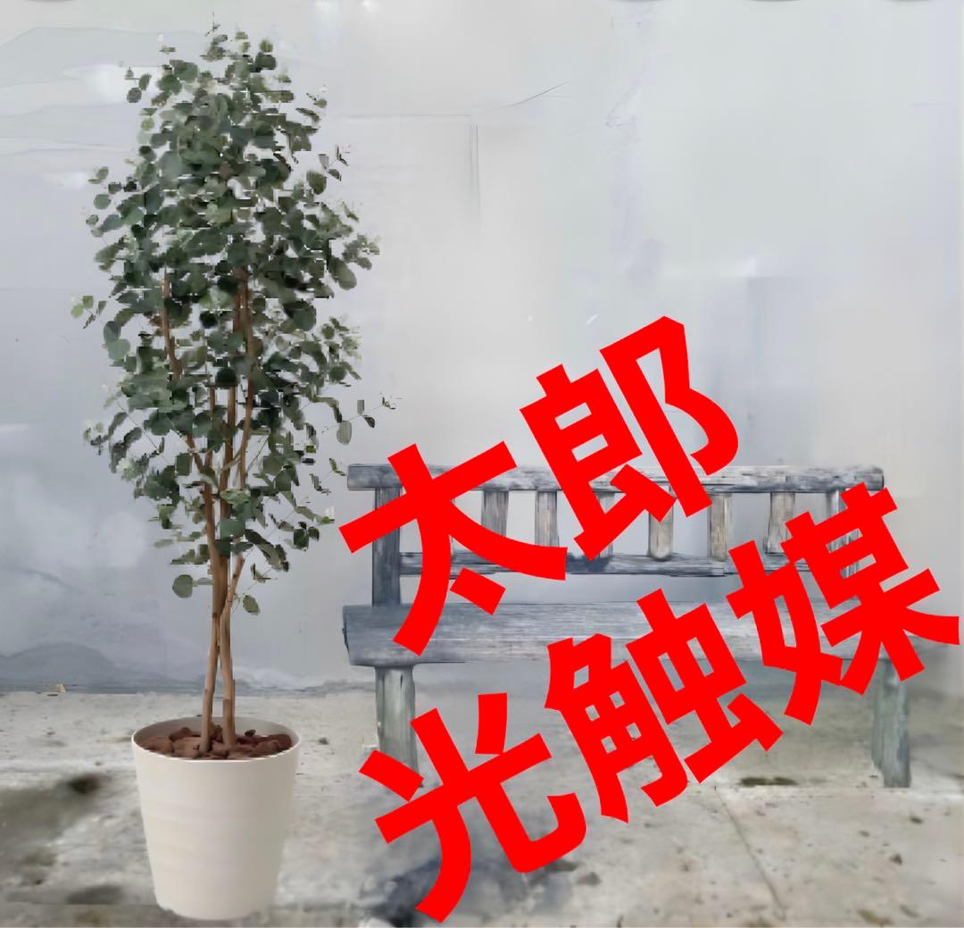 光触媒　人工観葉植物　ウォールグリーン　フェイクグリーン　ユーカリ1.6m