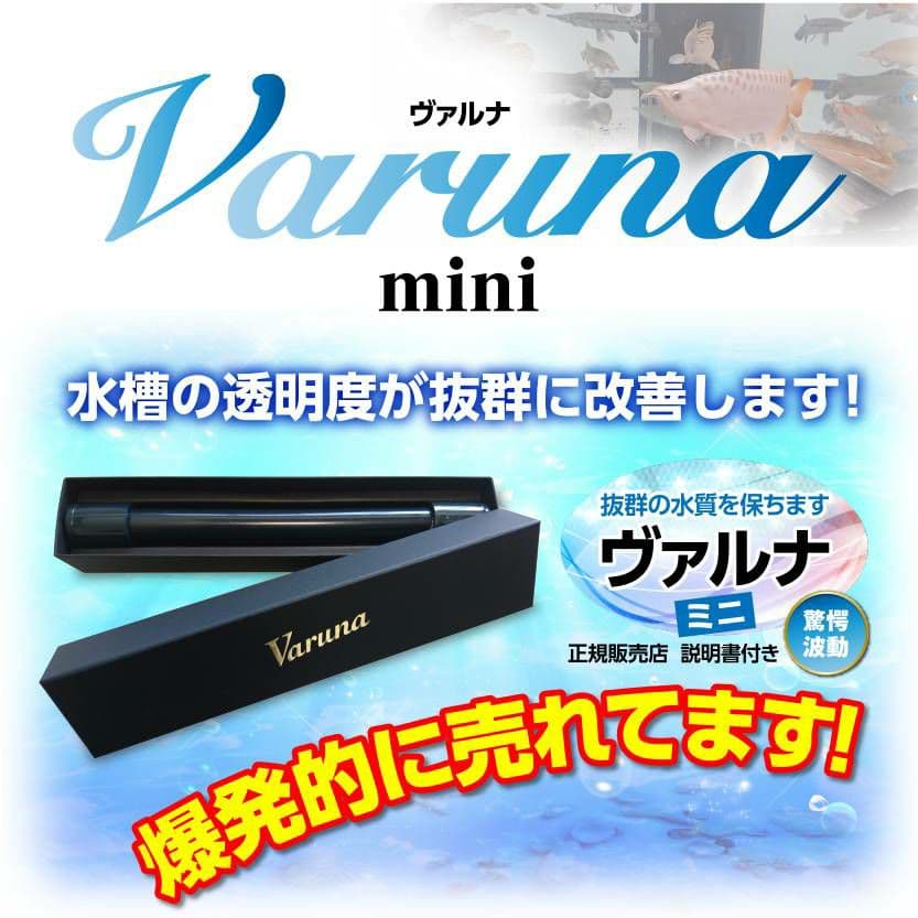 水質アップにはコレです！【ヴァルナ】有害物質を強力抑制し透明度が抜群になります！