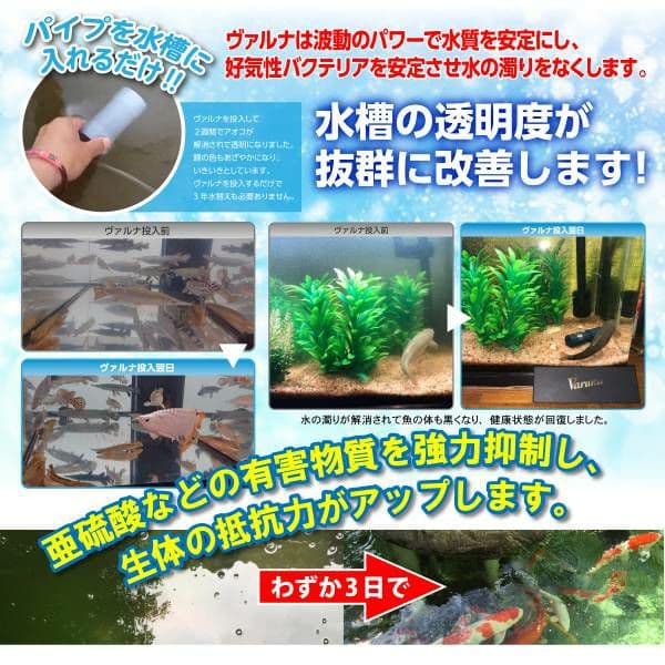 水質アップにはコレです！【ヴァルナ】有害物質を強力抑制し透明度が抜群になります！