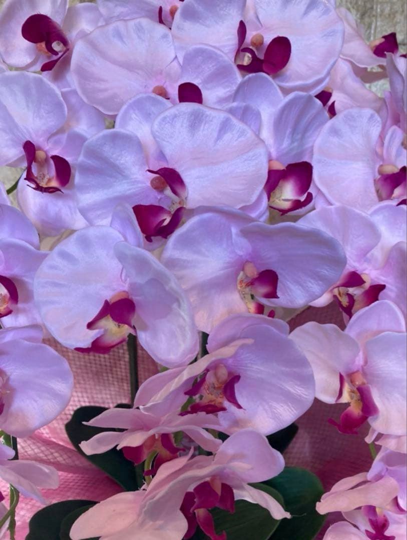 光触媒　人工観葉植物　ウォールグリーン　フェイク　胡蝶蘭大輪３Ｆ薄Ｐ784
