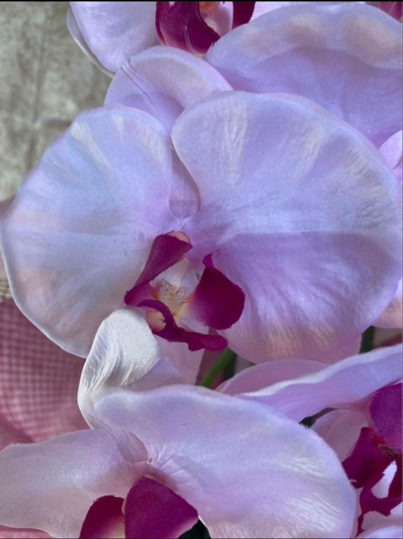 光触媒　人工観葉植物　ウォールグリーン　フェイク　胡蝶蘭大輪３Ｆ薄Ｐ784