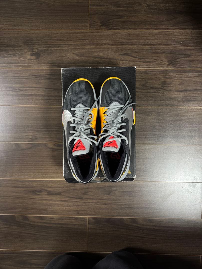 NIKE ズームフリーク2