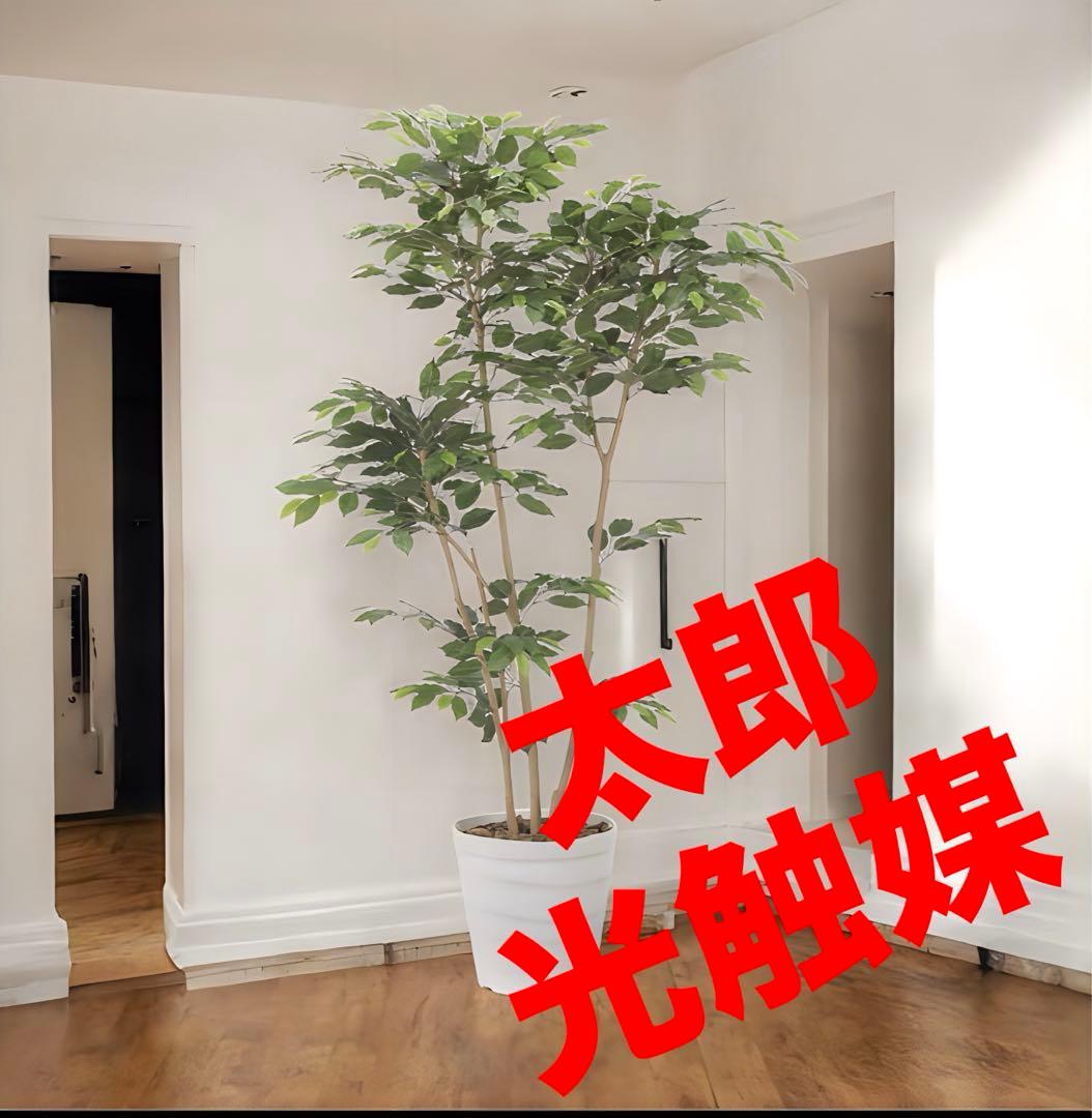 光触媒　人工観葉植物　フェイクグリーン　デザインベンジャミン1.8
