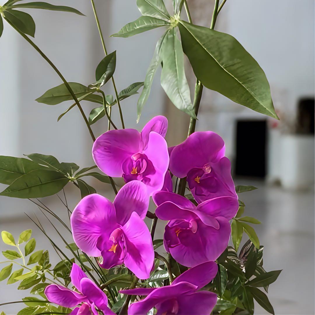 光触媒　人工観葉植物　ウォールグリーン　フェイクグリーン　リアル胡蝶蘭アレンジ!