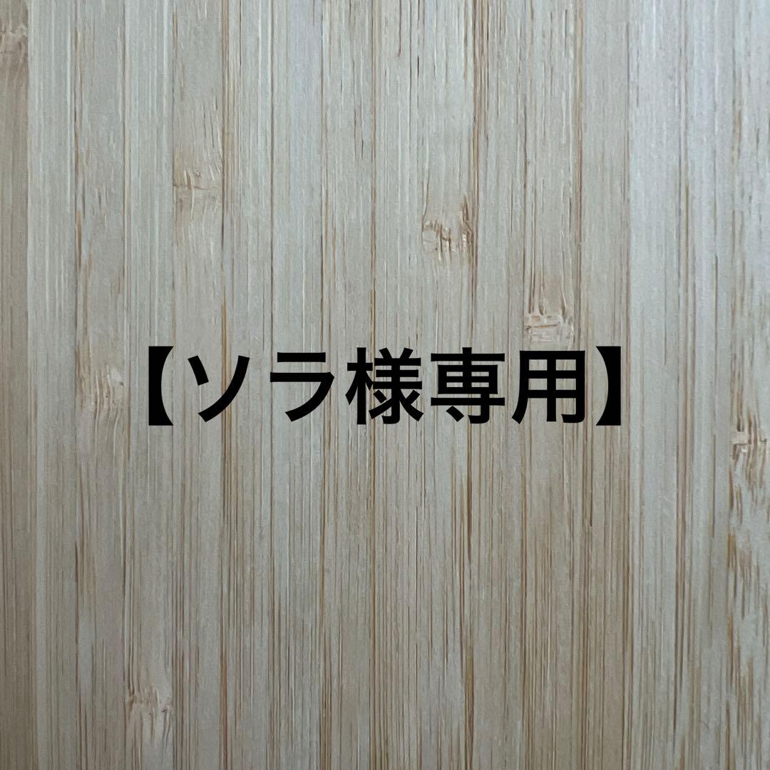 【ソラ】出品　ストラップ