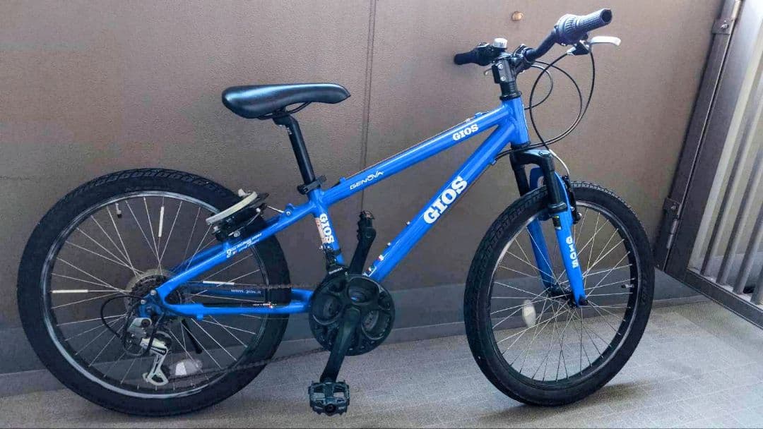 [直接受け取りのみ] GIOS キッズマウンテンバイク 22インチ