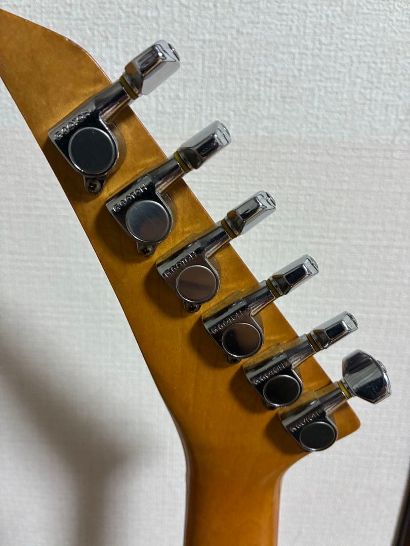 FERNANDES TEJ リミテッドエディション