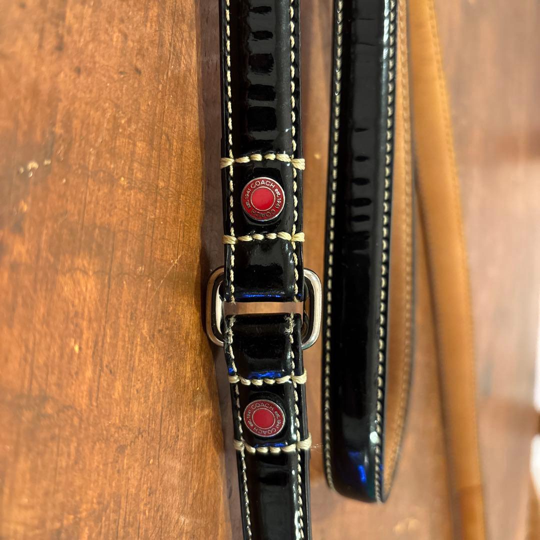 ★kai★ COACHレザー 犬用リードと首輪セット