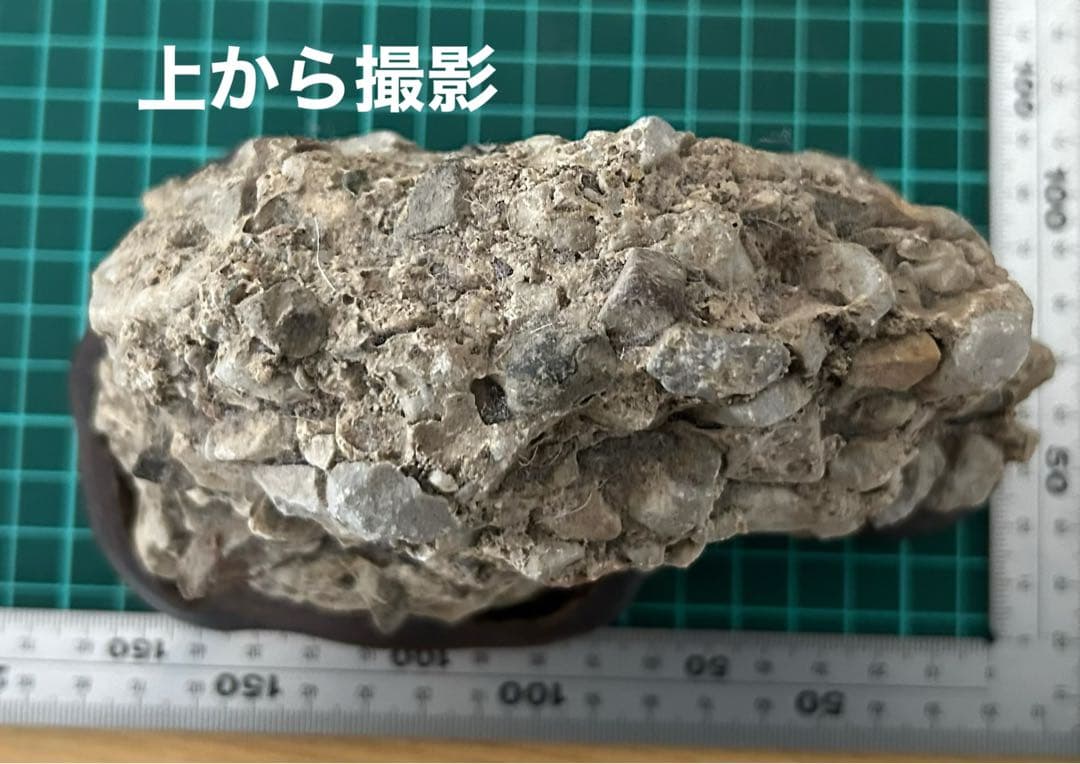 自然石【台付き】 さざれ石