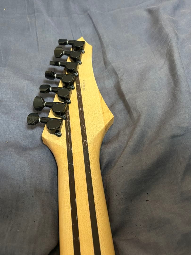 【ぬぼー】Strictly 7 Guitars COBRA JS7