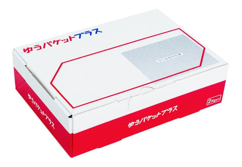 パジコ星の雫UV/LED硬化レジン液　500g×2本　透明／ハード　全国送料無料