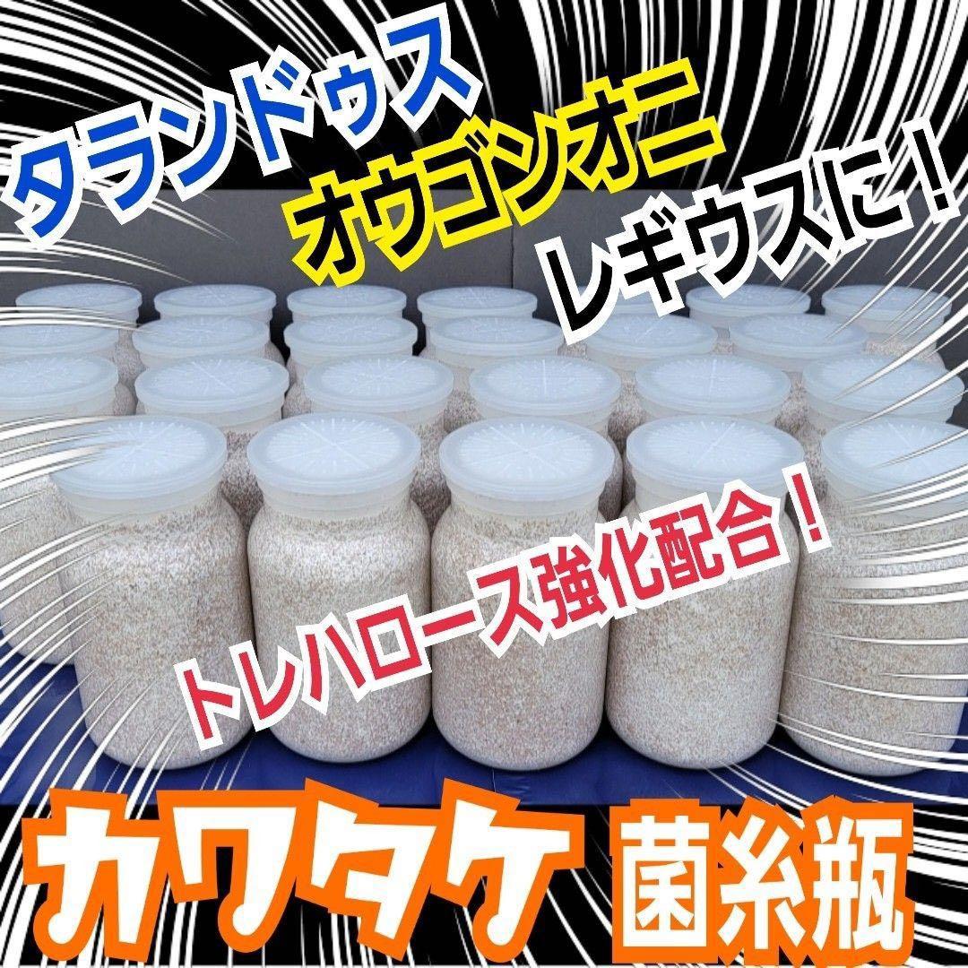 極上！カワラタケ菌糸瓶【15本】特殊アミノ酸強化配合！クワガタ幼虫全般に使えます