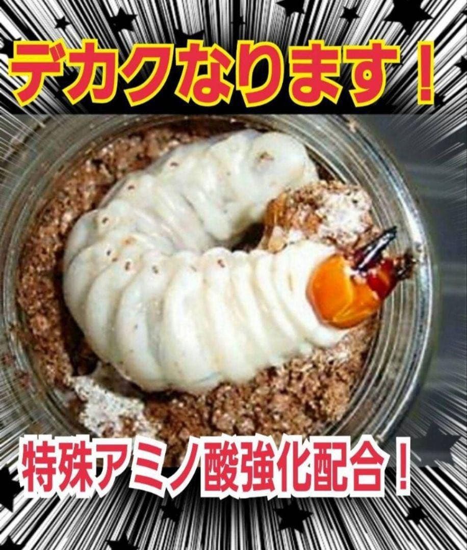 極上！カワラタケ菌糸瓶【15本】特殊アミノ酸強化配合！クワガタ幼虫全般に使えます