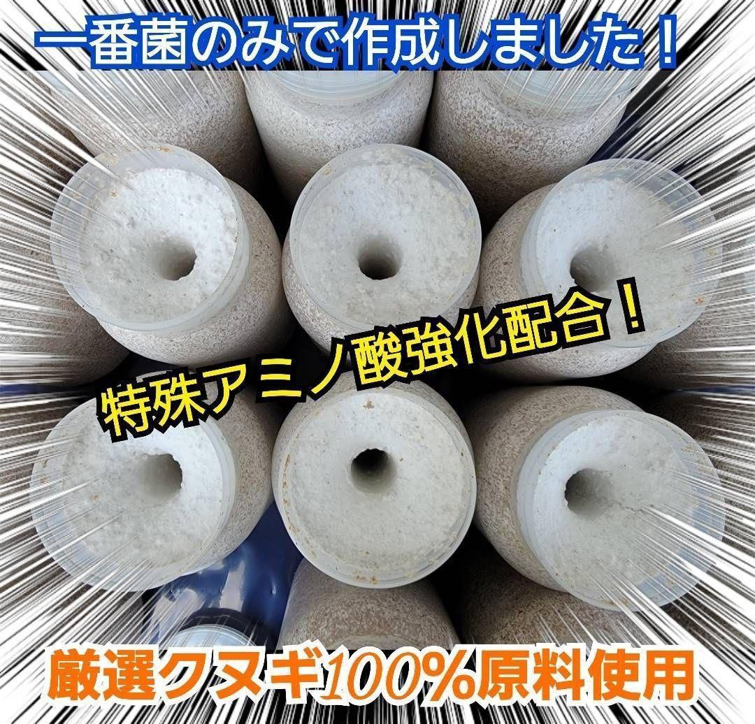 極上！カワラタケ菌糸瓶【15本】特殊アミノ酸強化配合！クワガタ幼虫全般に使えます