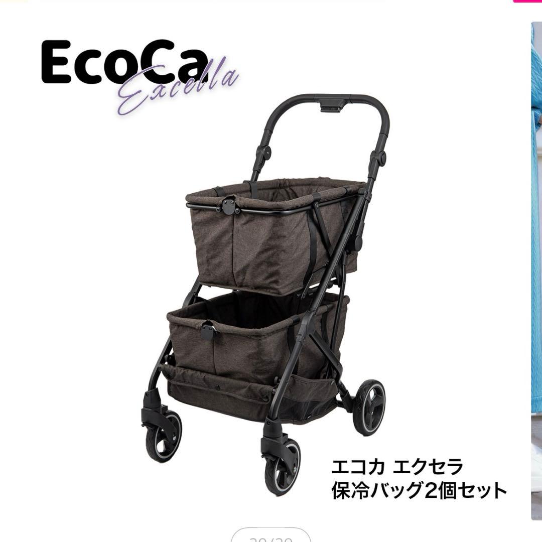 エコカ　エクセラ　定価33,800円