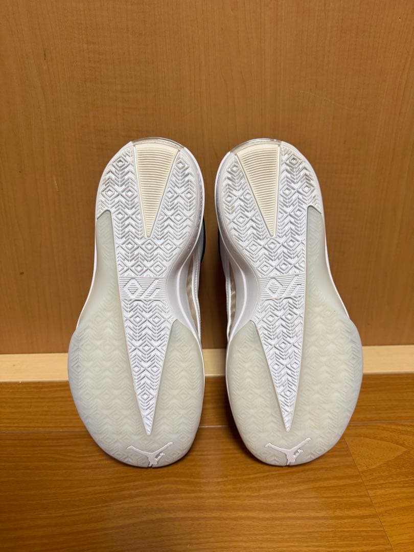 Air jordan40 ホワイト　ジョーダン40 28.5