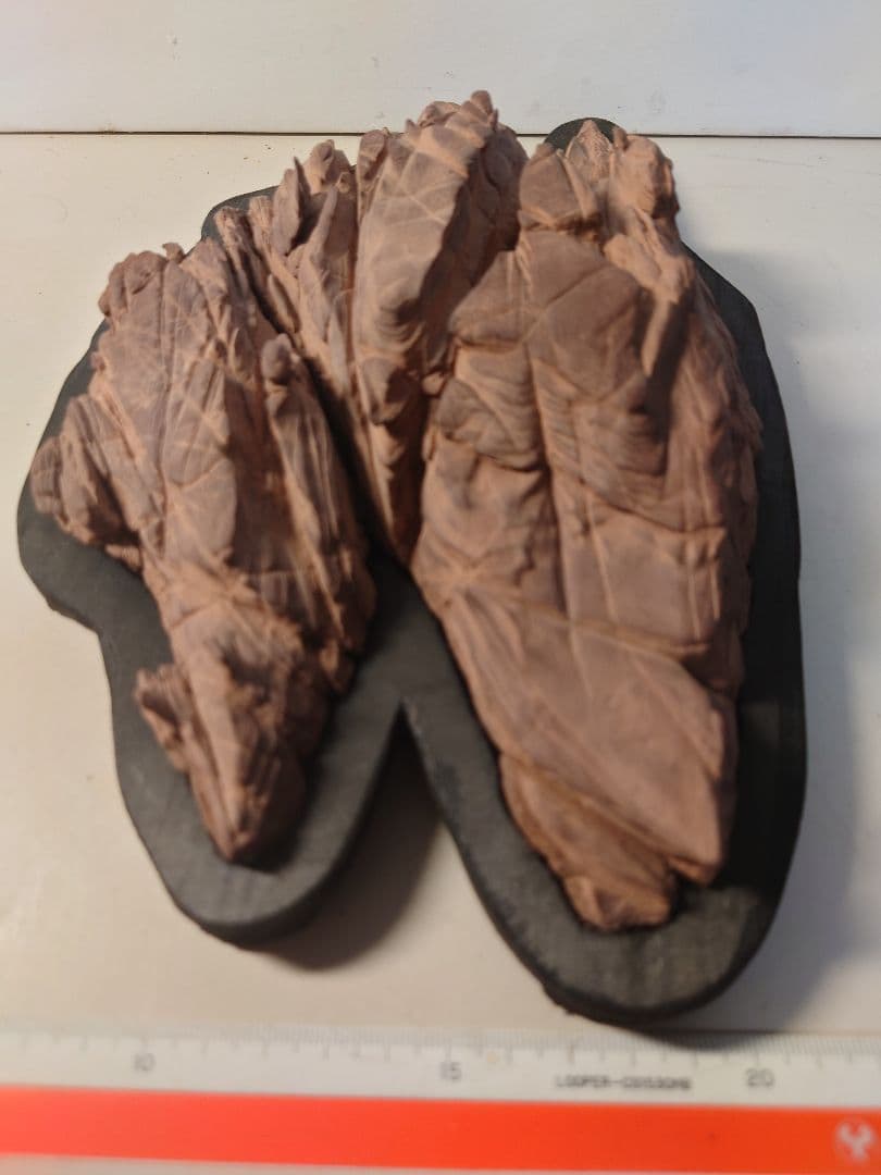 赤抹香石　赤い谷　水石 鑑賞石