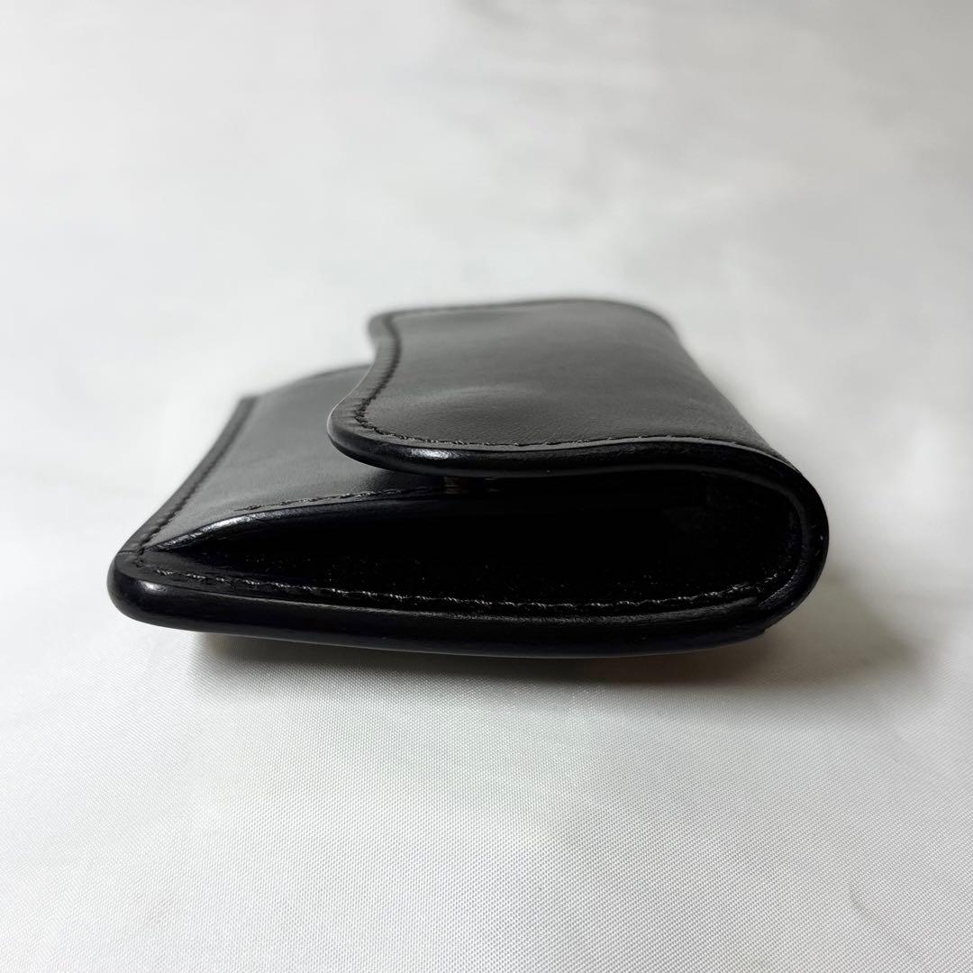 【新品】　ワイルドスワンズ　タング　サドルプルアップ　ケース　完売品　現行