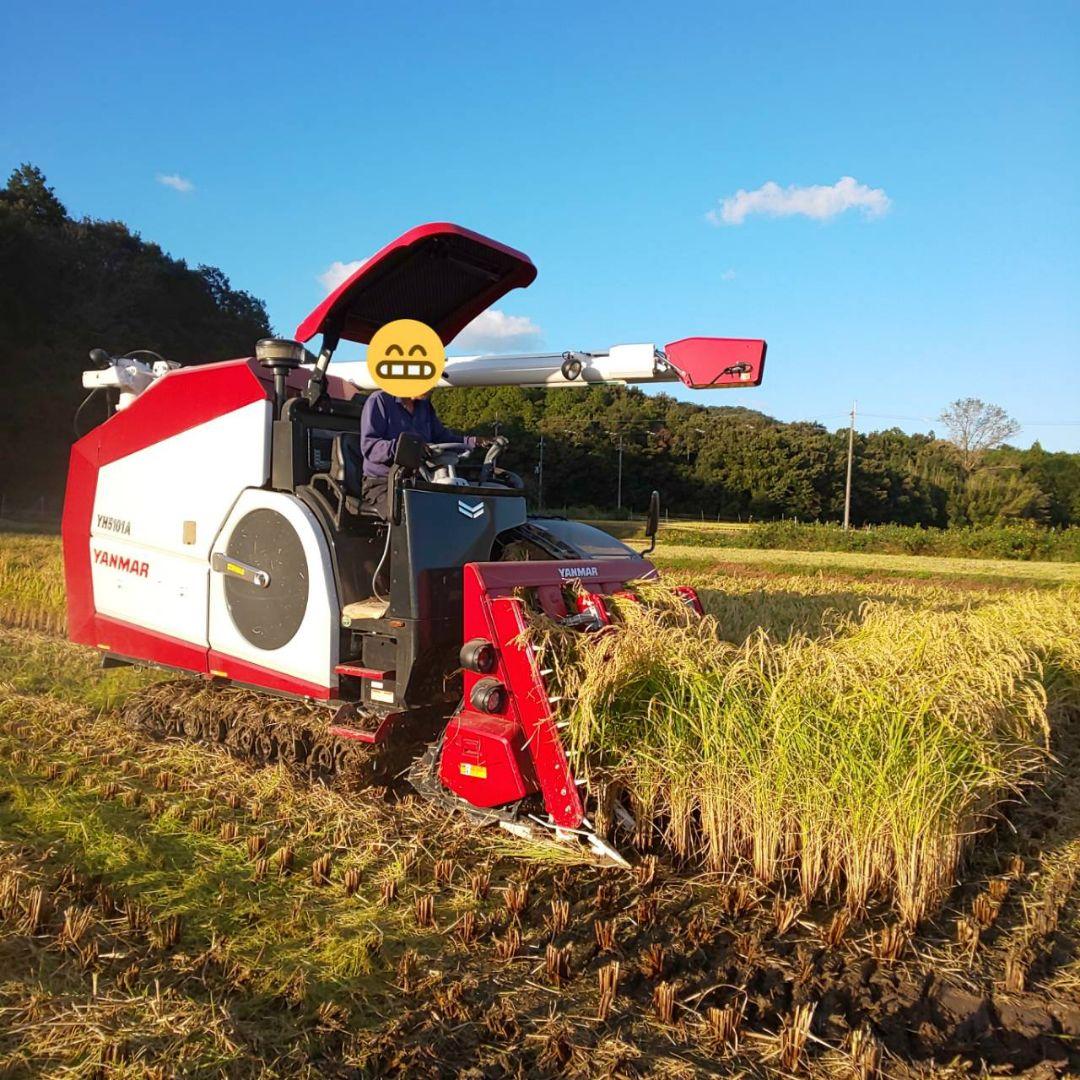 masmas様