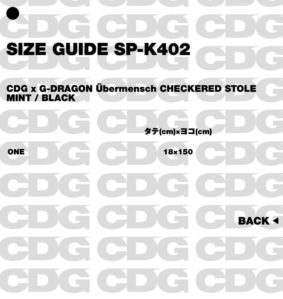 小物 CDG x G-DRAGON CHECKERED STOLE MINT