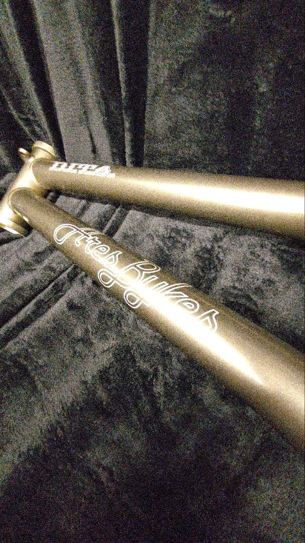 激レア！ARESのBMXフレーム 未使用保管品　早期売却希望の為、値下げ！