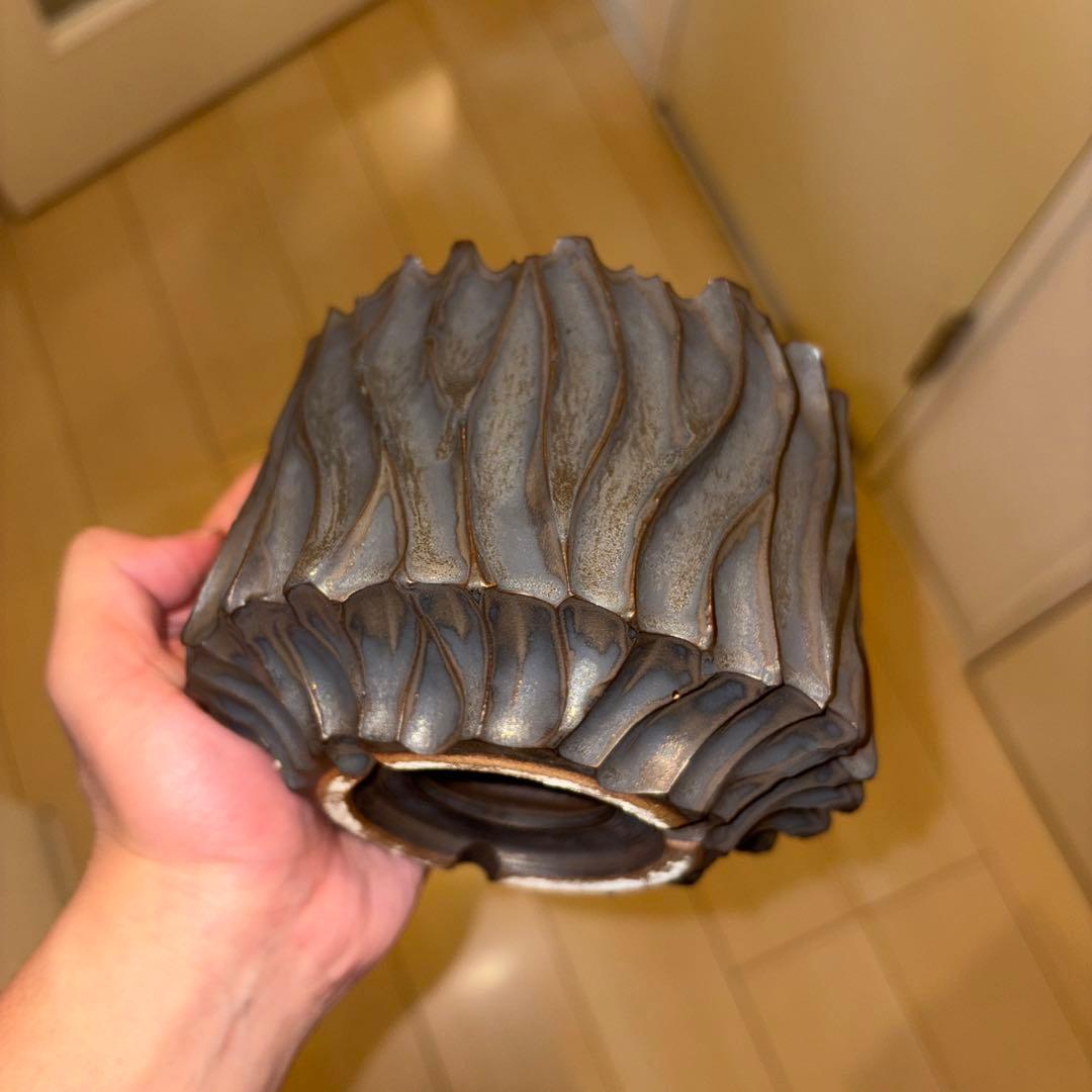 XL SIZE 植木鉢 作家鉢 グラキリス パキプス 恵比寿笑い 黒鬼城 魔界玉