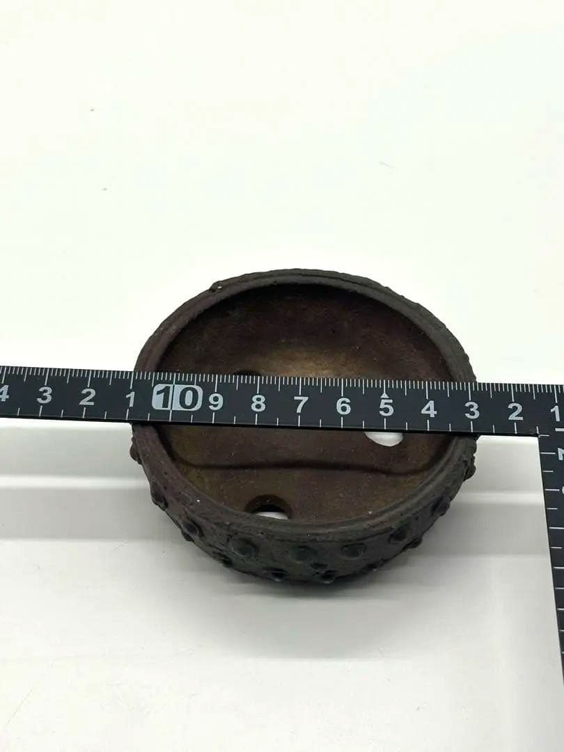 陶器製盆栽鉢 十王堂　松 泉 作