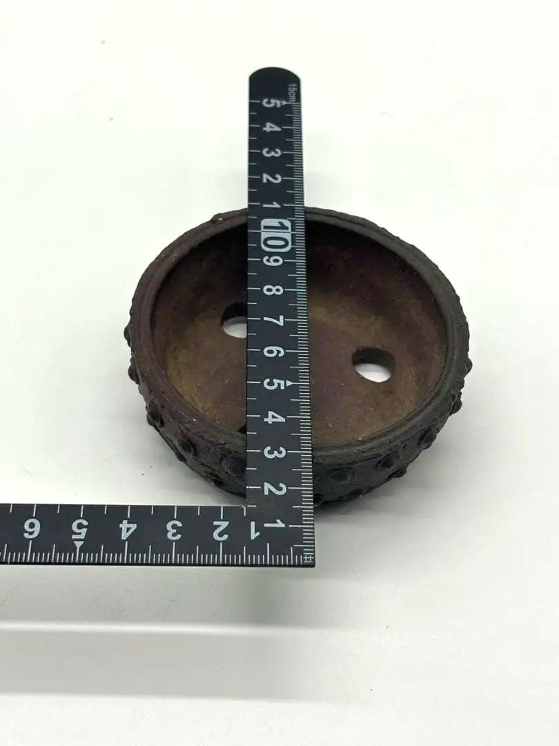 陶器製盆栽鉢 十王堂　松 泉 作