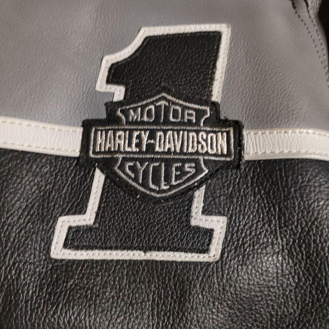 レアカラー美品　Harley-Davidson 本革レザージャケット　刺繍入