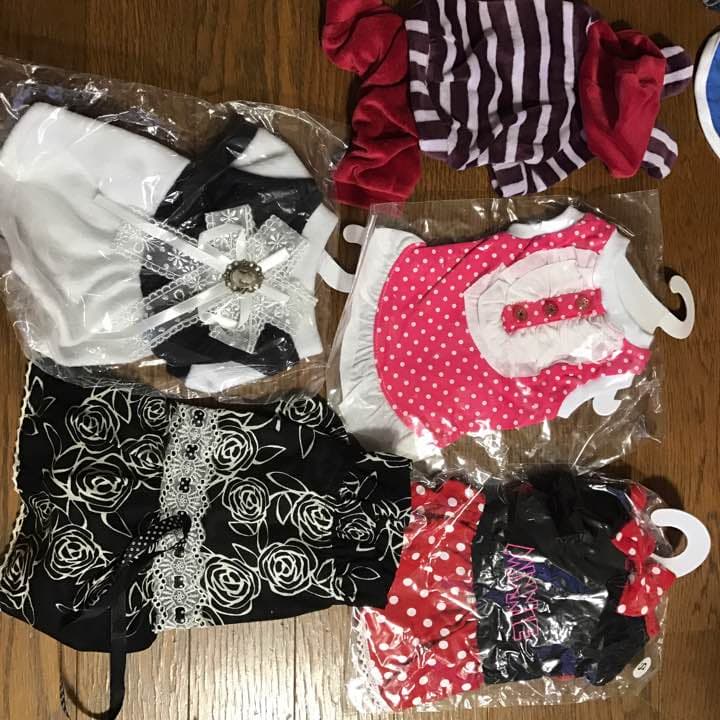 犬服 S