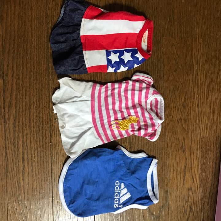 犬服 S
