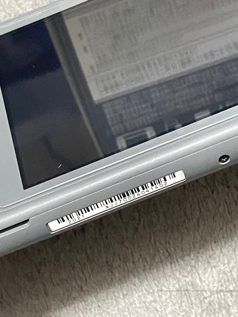 Nintendo Switch Lite 、充電器、SDカード、ケース付き