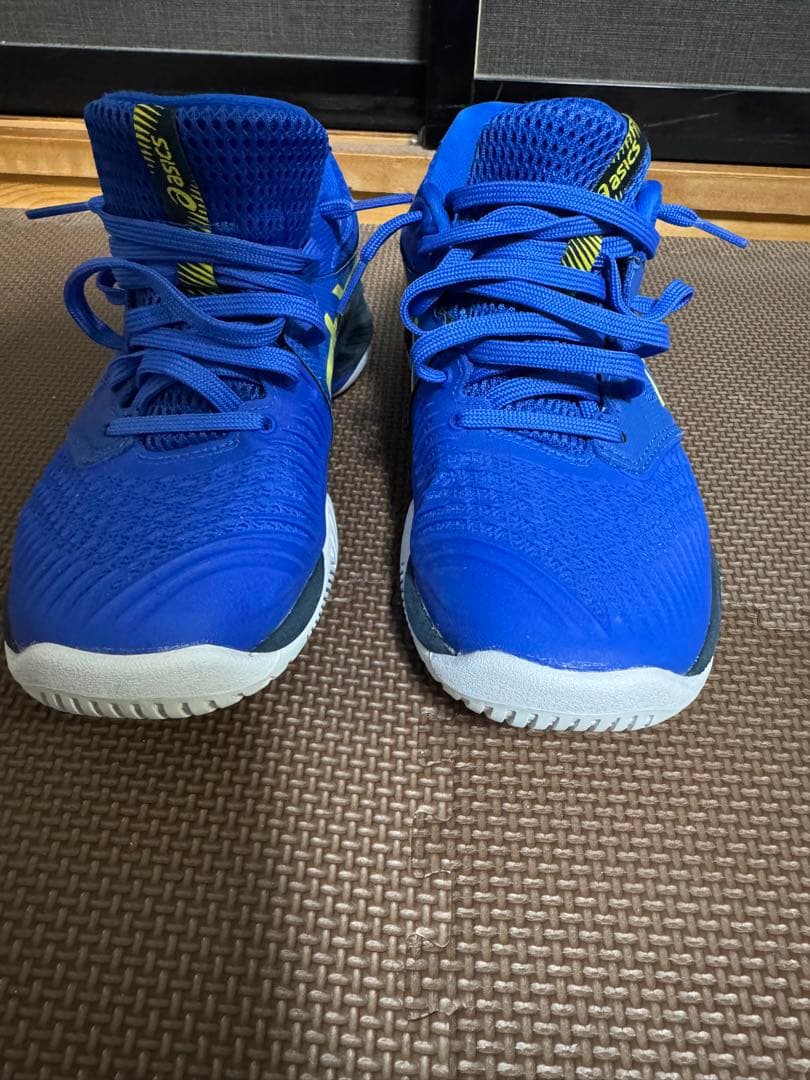 シューズ Asics NETBURNER BALLISTIC FF3 25.0