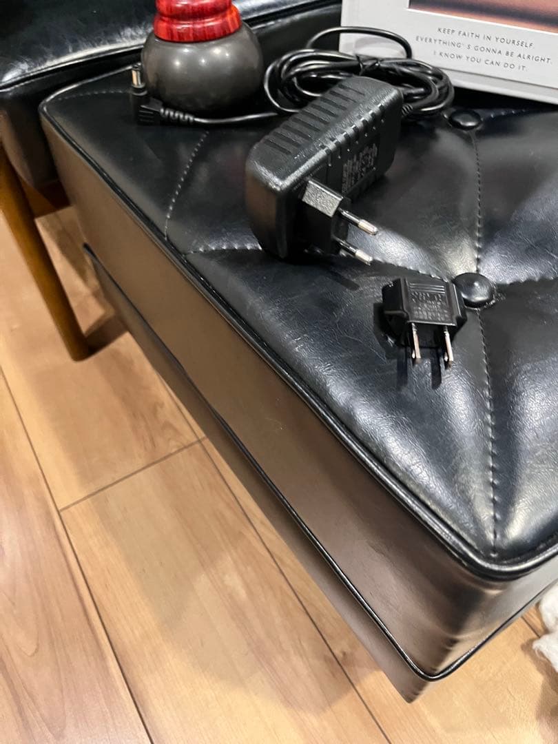 【3連休特別価格】ベン石温熱器　ホットストーンセラピー温石　日本、海外両用便利