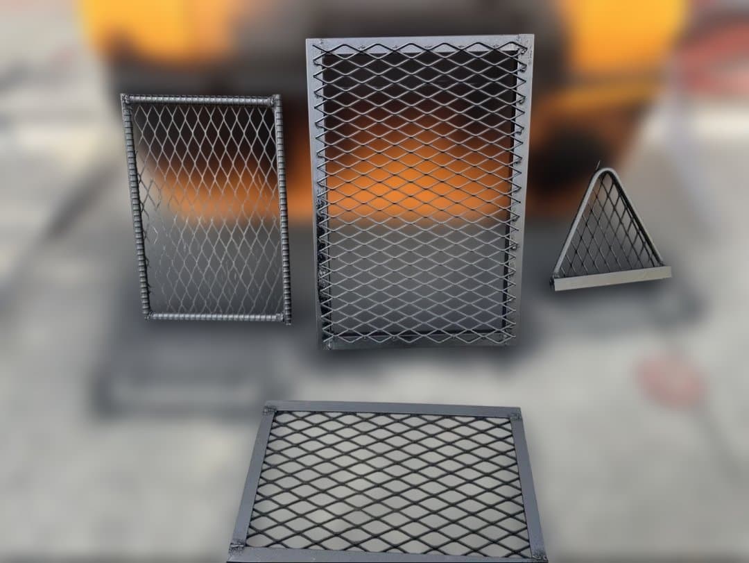 ビカクシダ 中型 着生植物