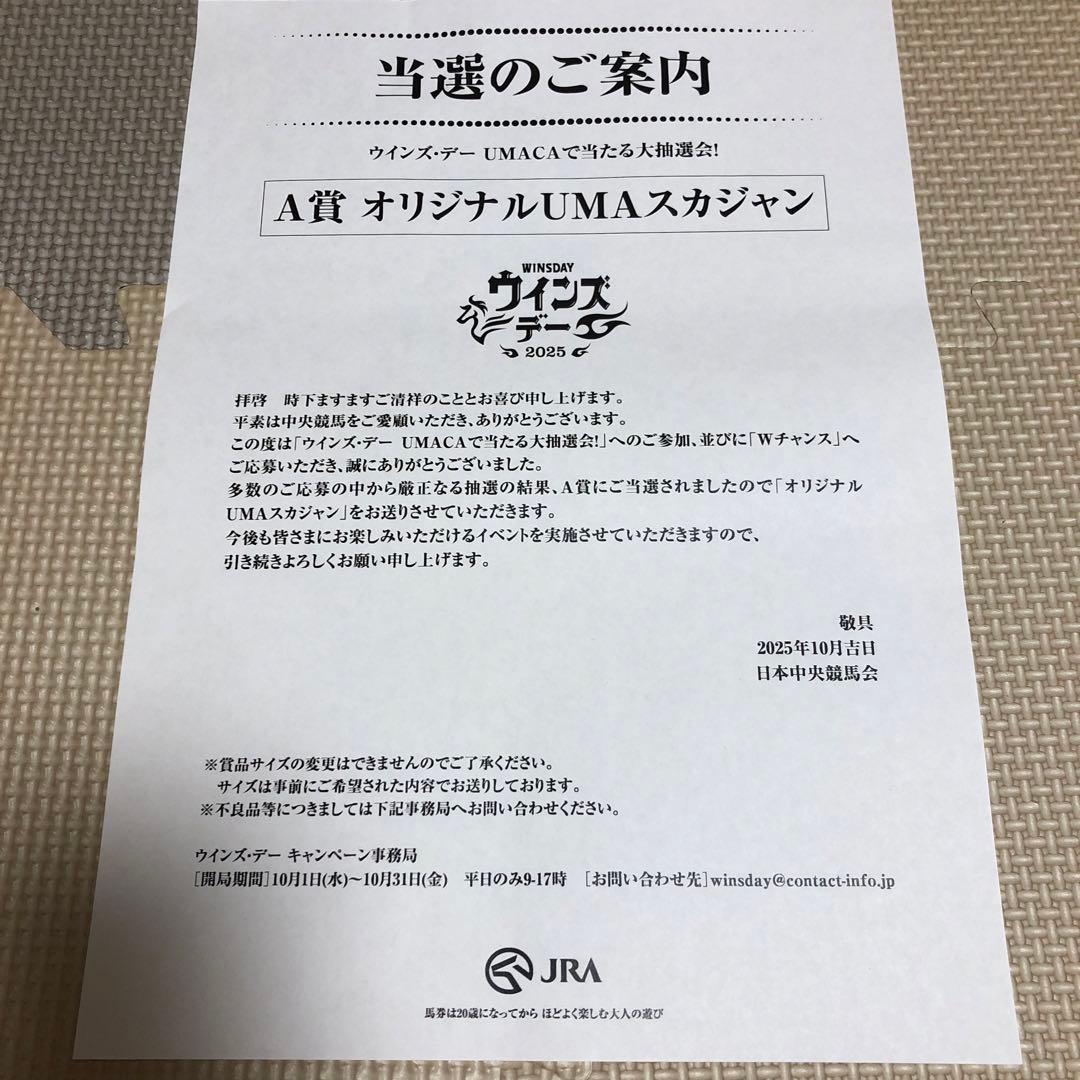 【新品未使用】JRA ウインズデー　A賞　オリジナルUMAスカジャン　Lサイズ
