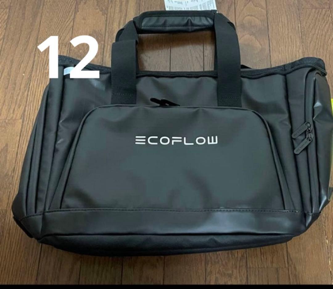 EcoFlow DELTA 3 Plusセット