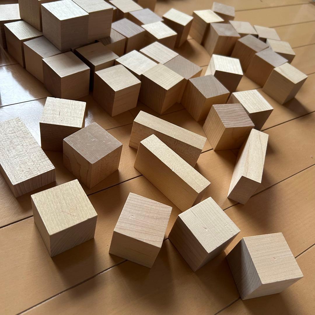 積み木　ドクスピールのレンガブロックセット(木箱入り)192ピース