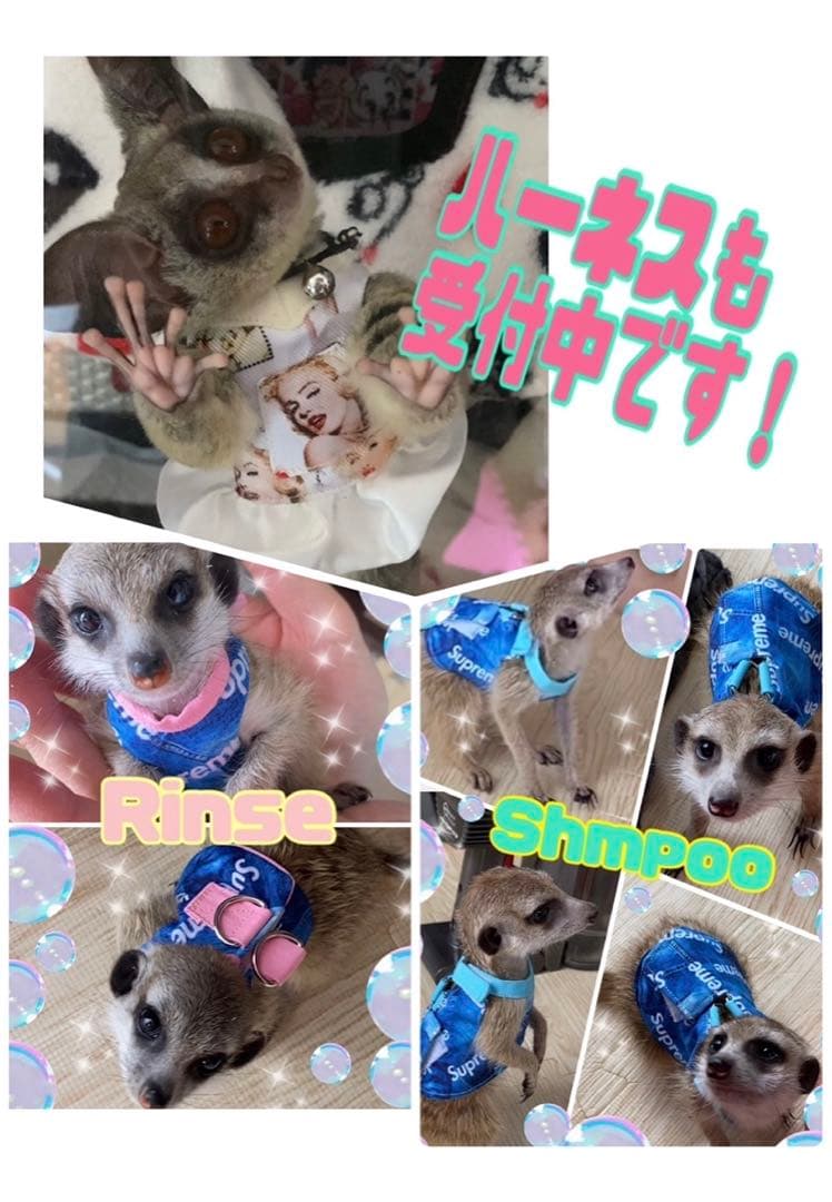 【10/20〜ハンドメイド販売終了】オーダー可★