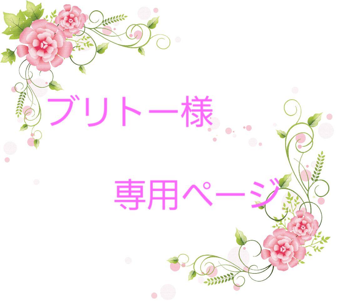 ★オーダー　ブリトーページ