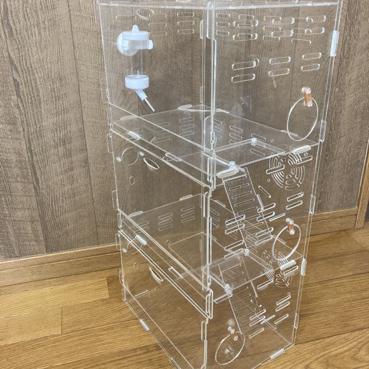 確認用　　購入は出来ません