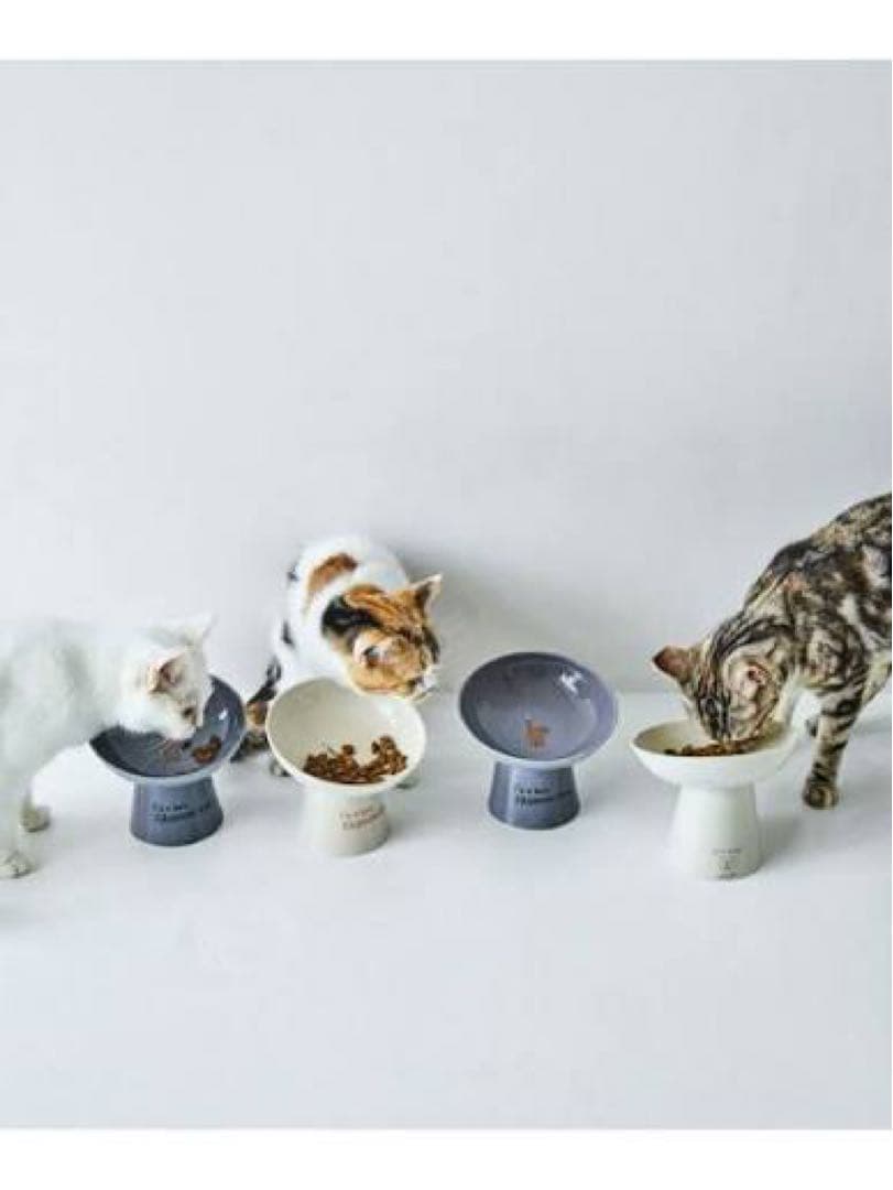 studio CLIP Orneko BY CLIP ネコ用ごはん台