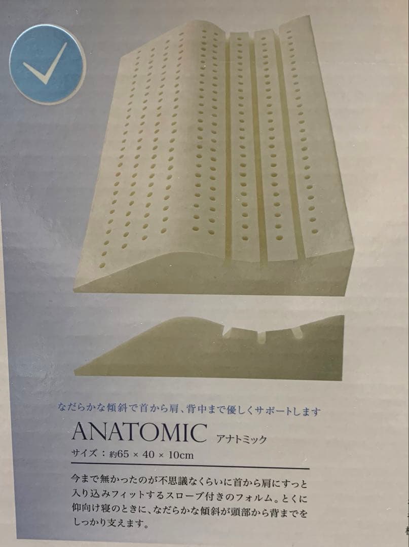 Sealy シーリー 枕 ラテックスピロー アナトミック