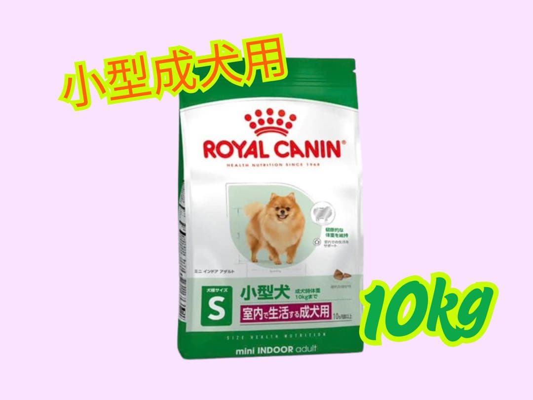 チィ