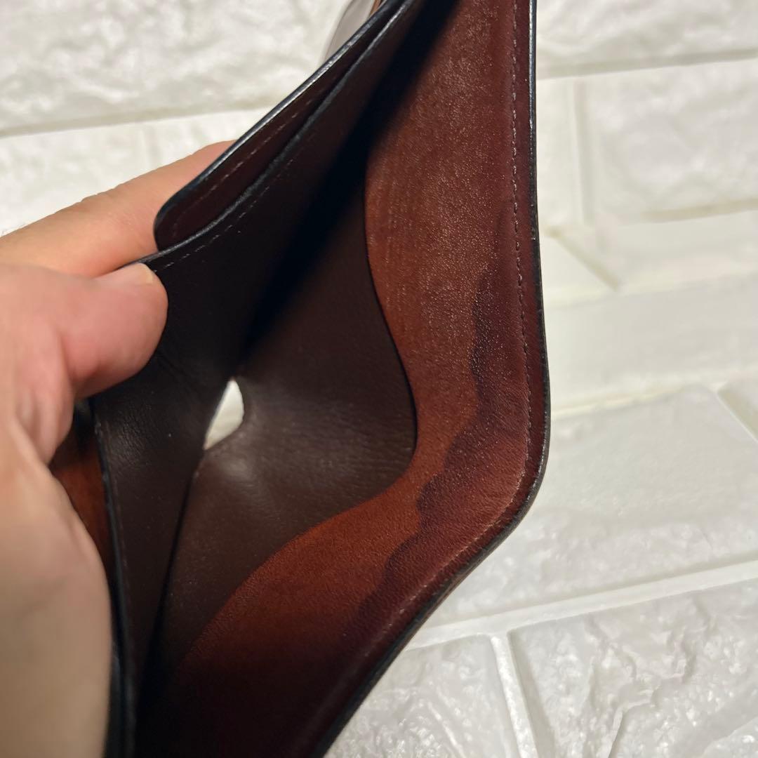 ワイルドスワンズ　ウィングス　シェルコードバン